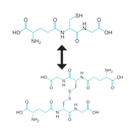 Alpha Arbutin Structure